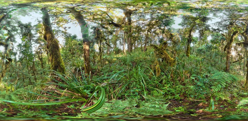 VR field trips to the Tanzanian Rainforest
